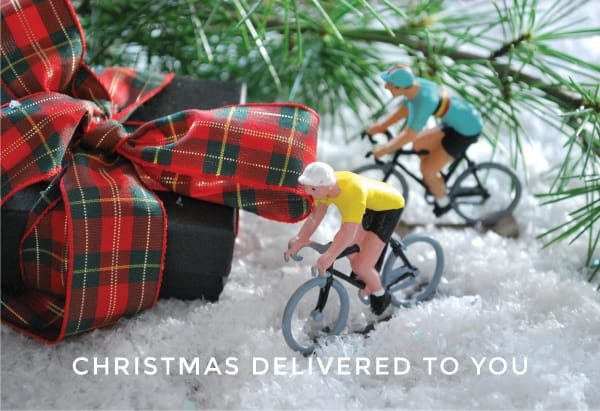 Read more about the article Christmas Delivered on Time
