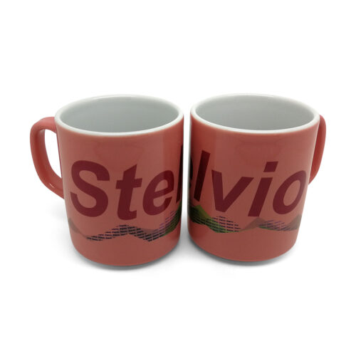 Stelvio Vista Mug